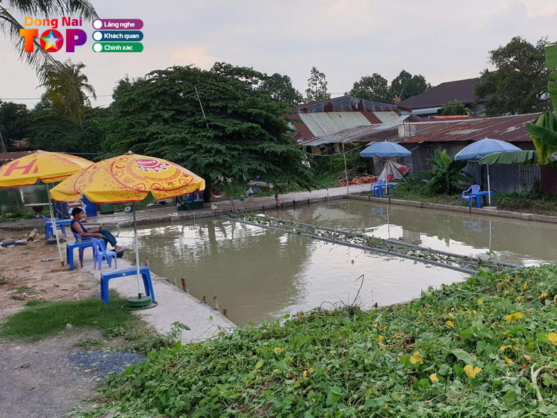 Ho-cau-ca-thai-binh-dongnaitoplist