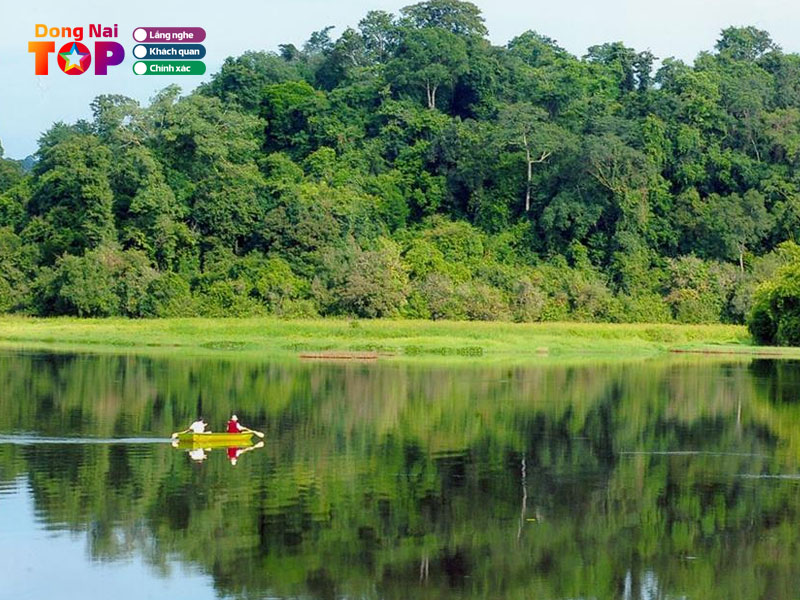 Den-voi-cat-tien-ban-co-gi-vui-dongnaitoplist