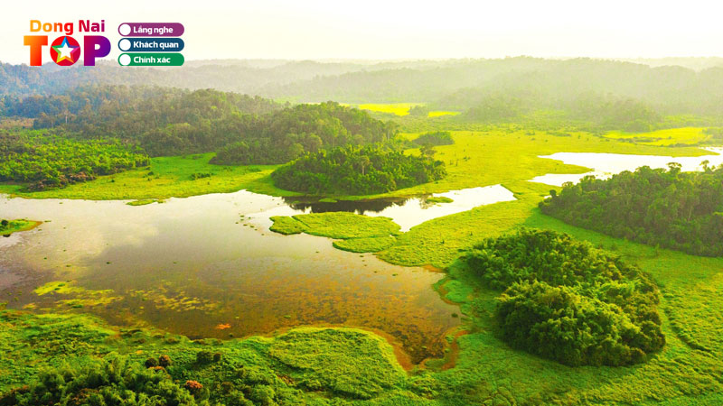 Vuon-quoc-gia-cat-tien-khu-rung-thien-nhien-hoang-da-tuyet-dep-dongnaitoplist