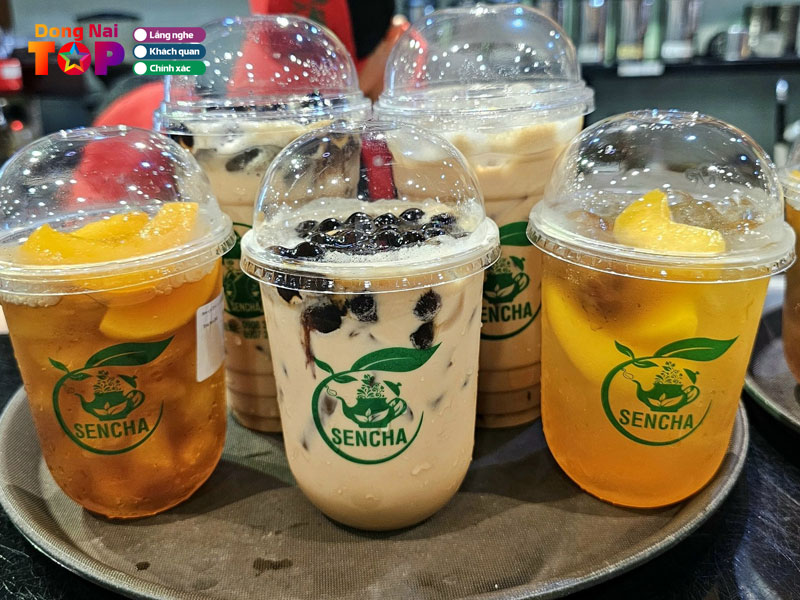 Sencha-tea-dongnaitoplist