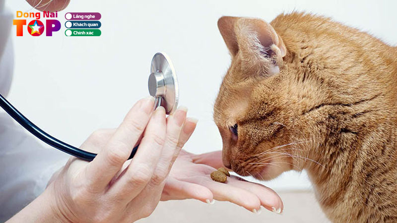 Top-10-phong-kham-thu-y-bien-hoa-dong-nai-uy-tin-nhat-hien-nay-dongnaitoplist