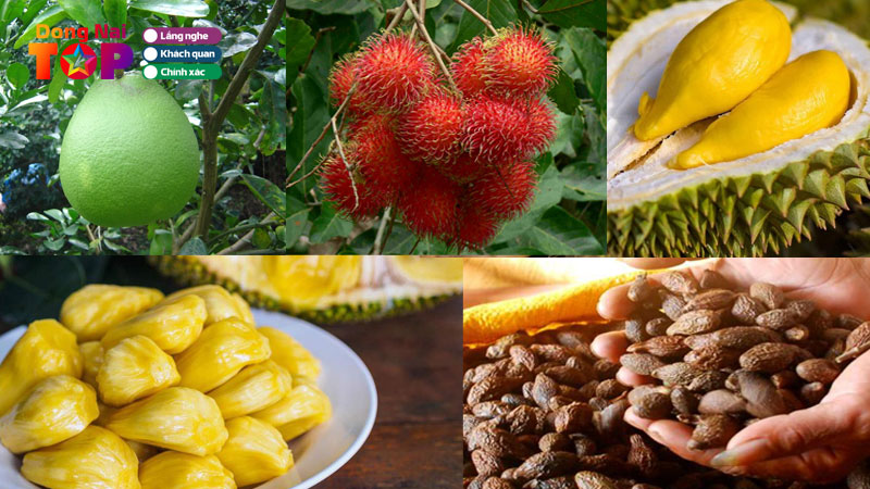 Top-12-dac-san-dong-nai-ngon-ma-ban-nen-mua-ve-qua-nhat-dongnaitoplist