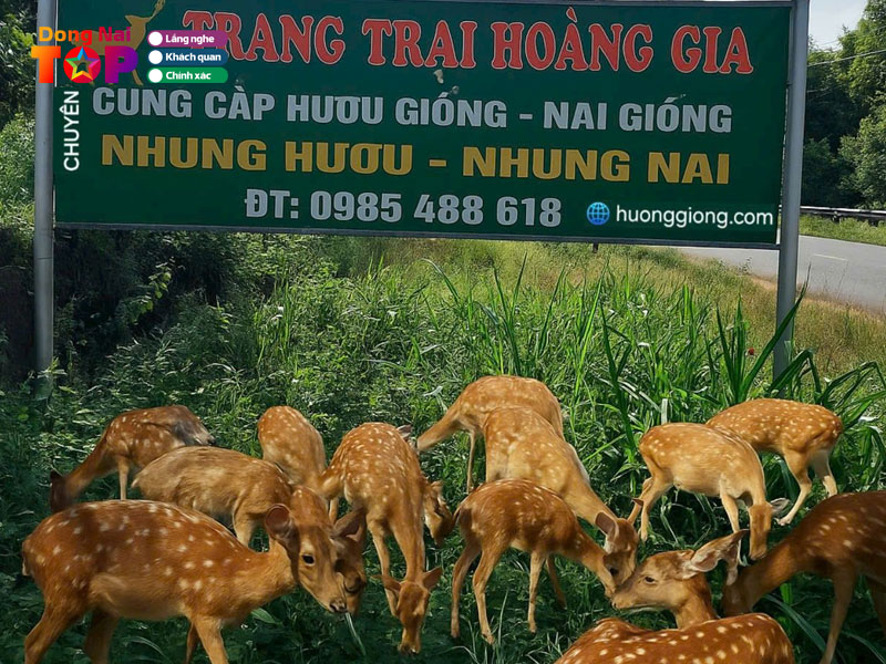 Hoang-gia-dong-nai-dongnaitoplist