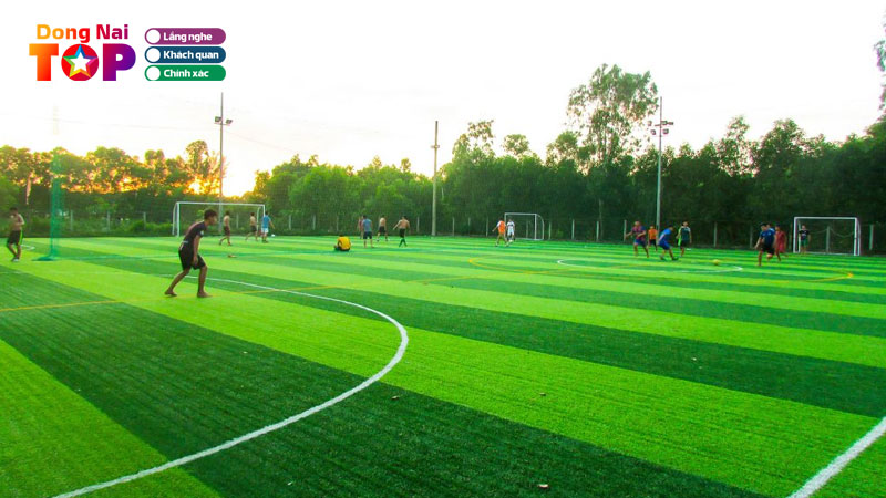 Top-5-san-bong-da-nhan-tao-tai-dong-nai-tieu-chuan-moi-nhat-dongnaitoplist