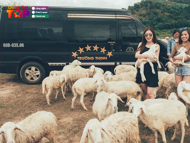 Xe-an-phu-truong-thinh-limousine-dongnaitoplist