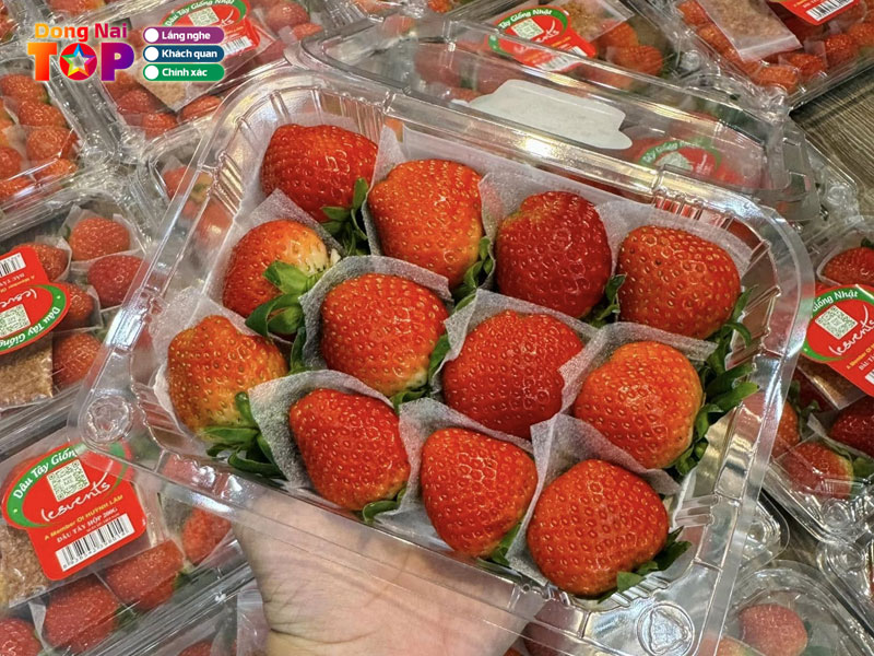 Dieu-gia-vien-fruit-dongnaitoplist