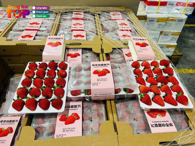 F79-fruits-dongnaitoplist