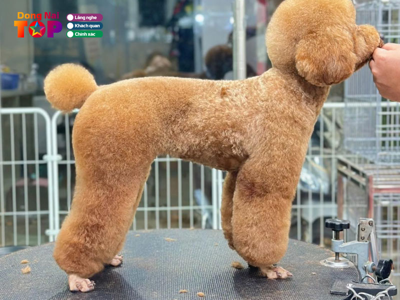 Happy-pet-dongnaitoplist