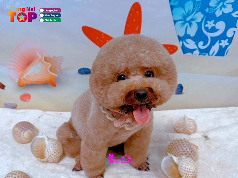 Thuy-gia-petshop-dongnaitoplist