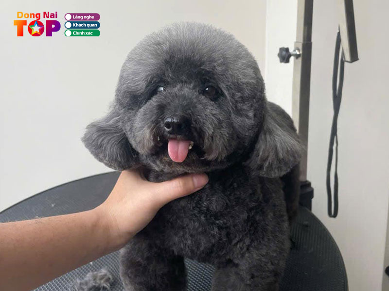 Toji-pet-shop-spa-hotel-dongnaitoplist