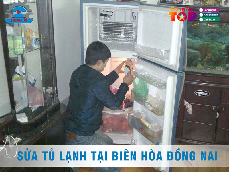 Dien-lanh-khoi-nguyen-dongnaitoplist