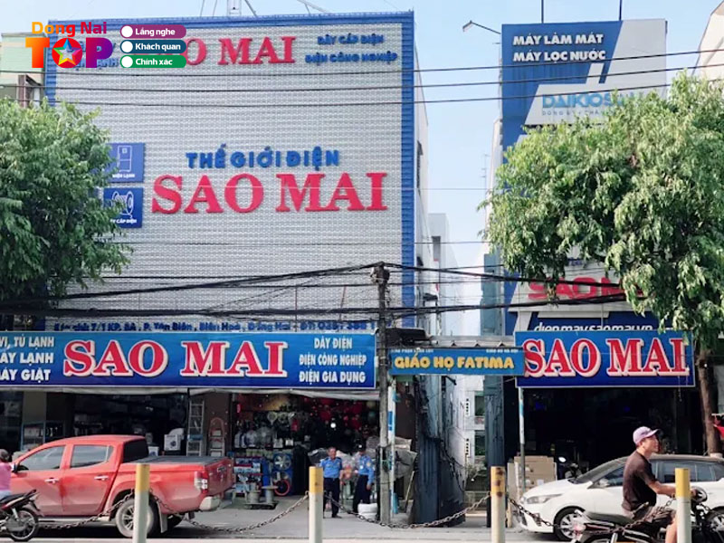 Dien-may-sao-mai-dongnaitoplist
