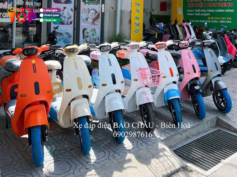 Xe-dap-dien-bao-chau-dongnaitoplist
