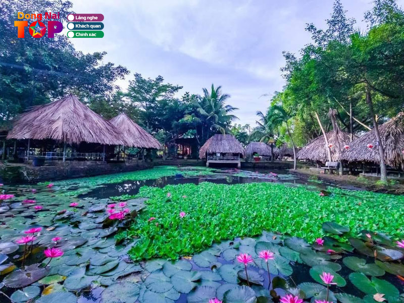 Cau-ca-giai-tri-bau-tram-dongnaitoplist