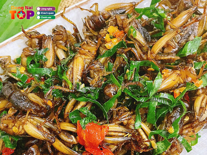 De-com-dongnaitoplist