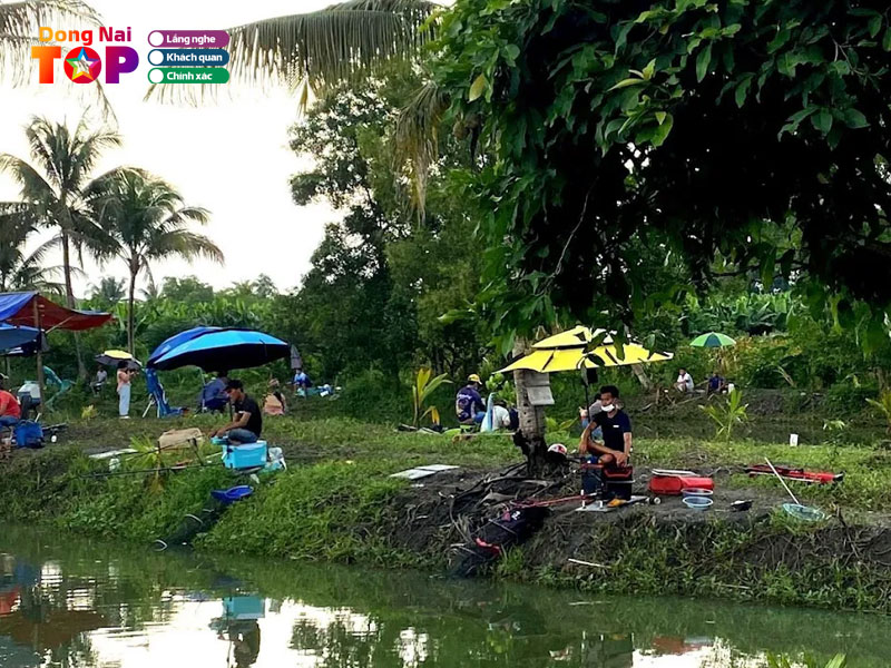 Ho-cau-ca-giai-tri-chu-bau-dongnaitoplist