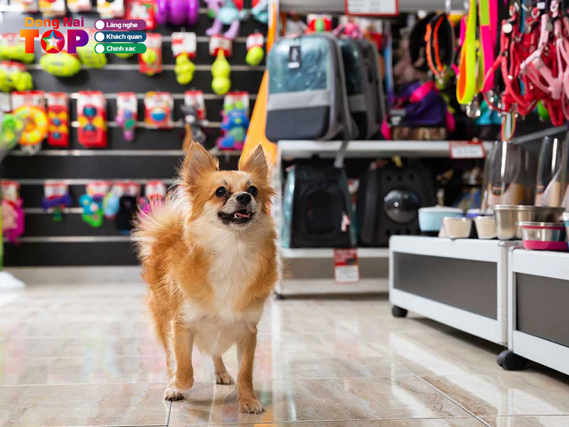 Nu-pet-dongnaitoplist