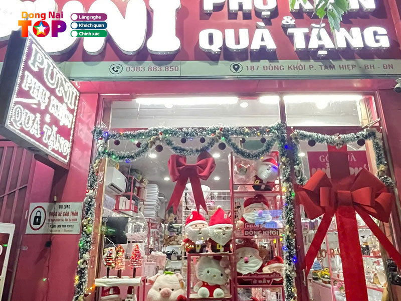 Puni-store-dongnaitoplist