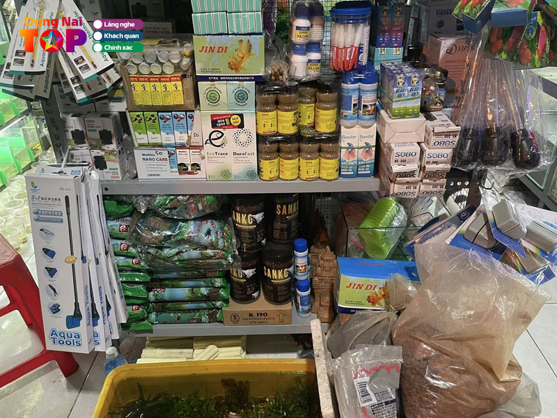 Ca-canh-tuan-betta-dongnaitoplist