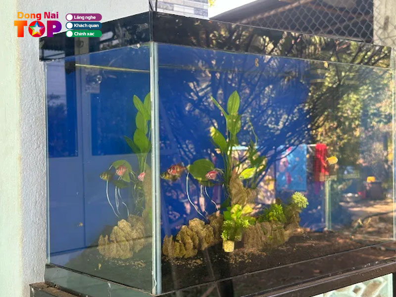 Hieu-lam-dongnaitoplist