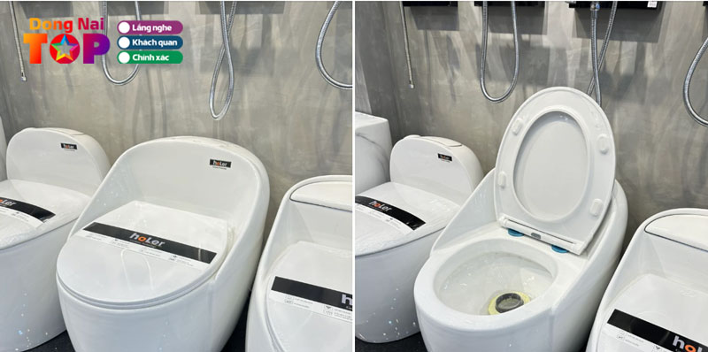 Vi-sao-nen-mua-bon-cau-ve-sinh-tai-ttcera-dongnaitoplist