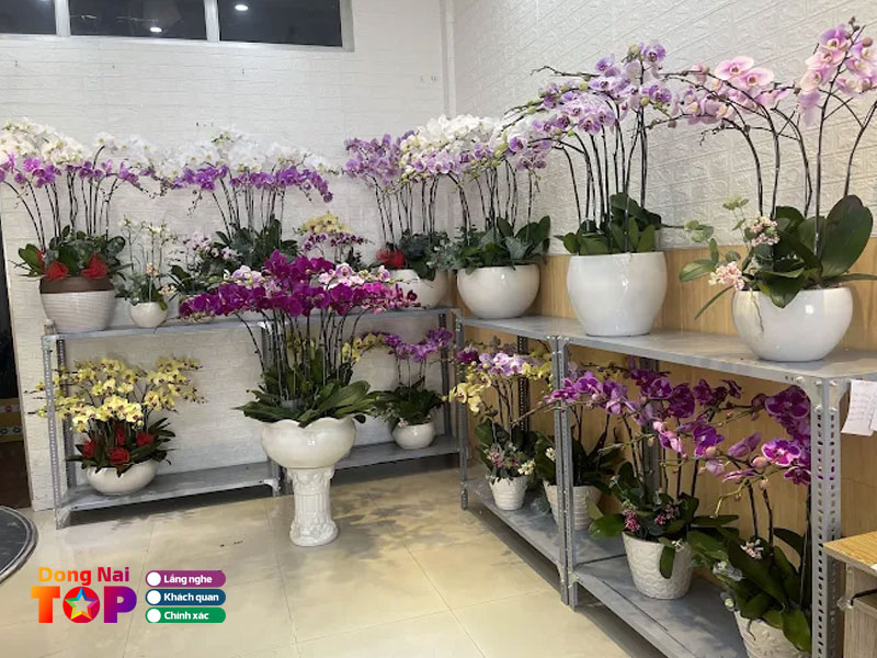 Cua-hang-hoa-tuoi-le-minh-dongnaitoplist