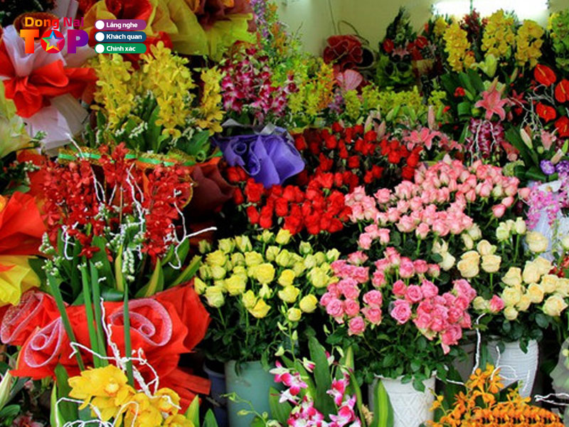 Dien-hoa-long-thanh-dongnaitoplist