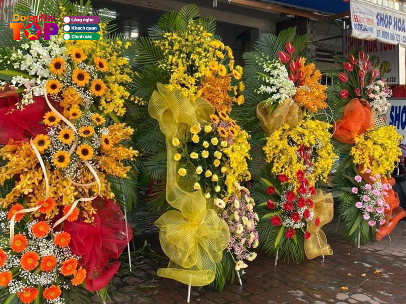 Hoa-tuoi-tulip-dongnaitoplist