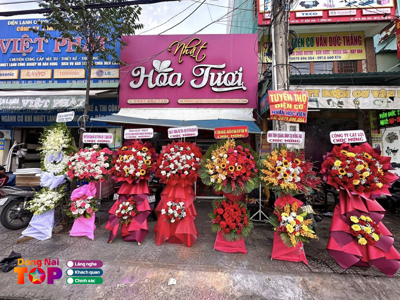 Nflower-dongnaitoplist