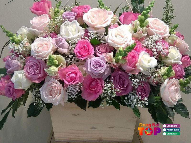 Sun-flowers-dongnaitoplist