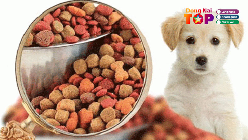 Top-10-dia-chi-mua-thuc-an-cho-cho-o-bien-hoa-du-loai-gia-tot-dongnaitoplist