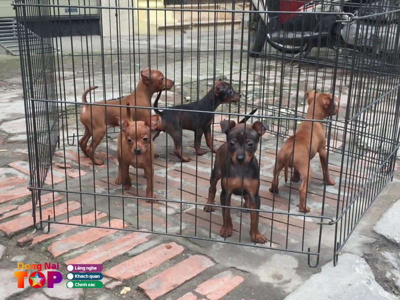 Sieu-thi-thu-cung-vo-tuan-dongnaitoplist