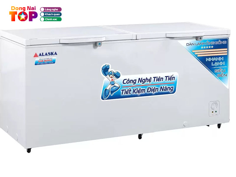 Dien-may-cong-thanh-dongnaitoplist