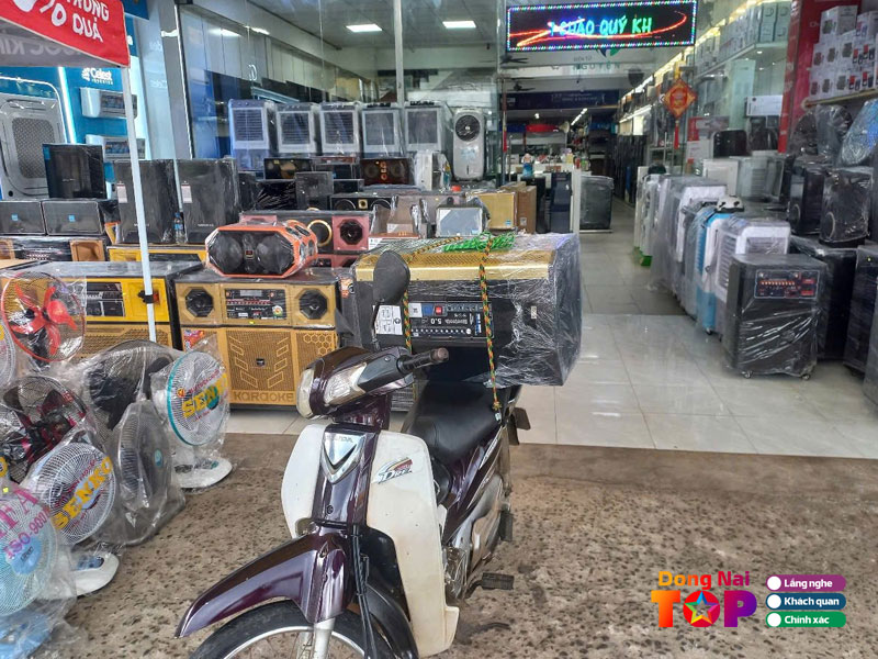 Dien-may-nguyen-dongnaitoplist