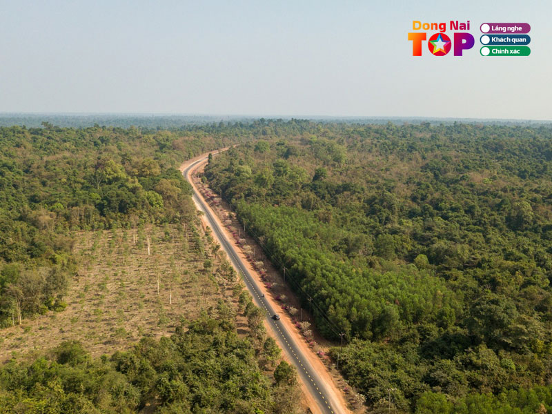 Khu-bao-ton-thien-nhien-van-hoa-dong-nai-hien-nay-dang-o-dau-mot-so-dieu-thu-vi-ve-noi-day-dongnaitoplist