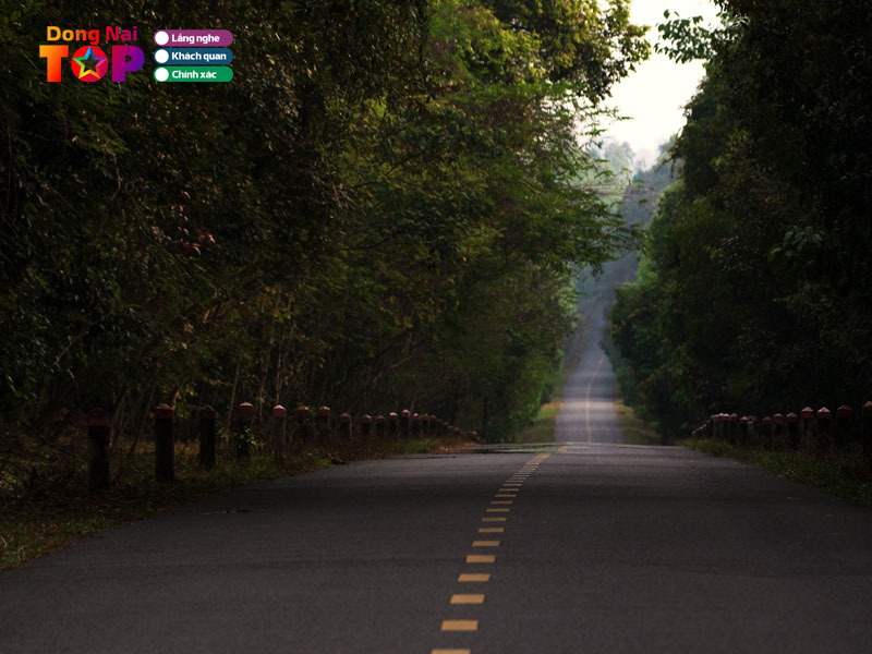 Tham-quan-khu-trung-bay-mau-vat5-dongnaitoplist