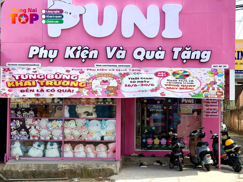 Puni-dongnaitoplist