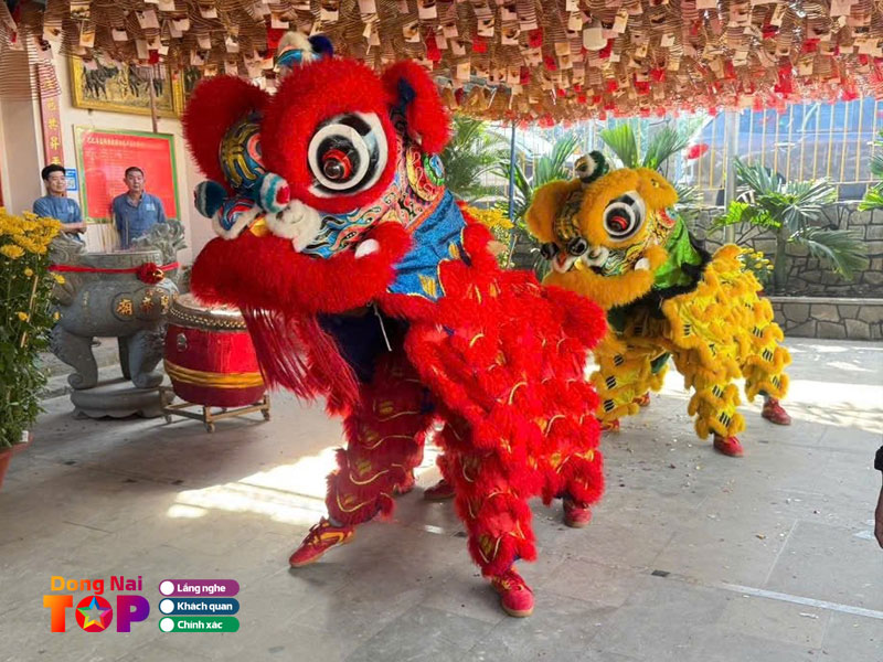 Lan-su-rong-phuoc-loc-duong-dongnaitoplist
